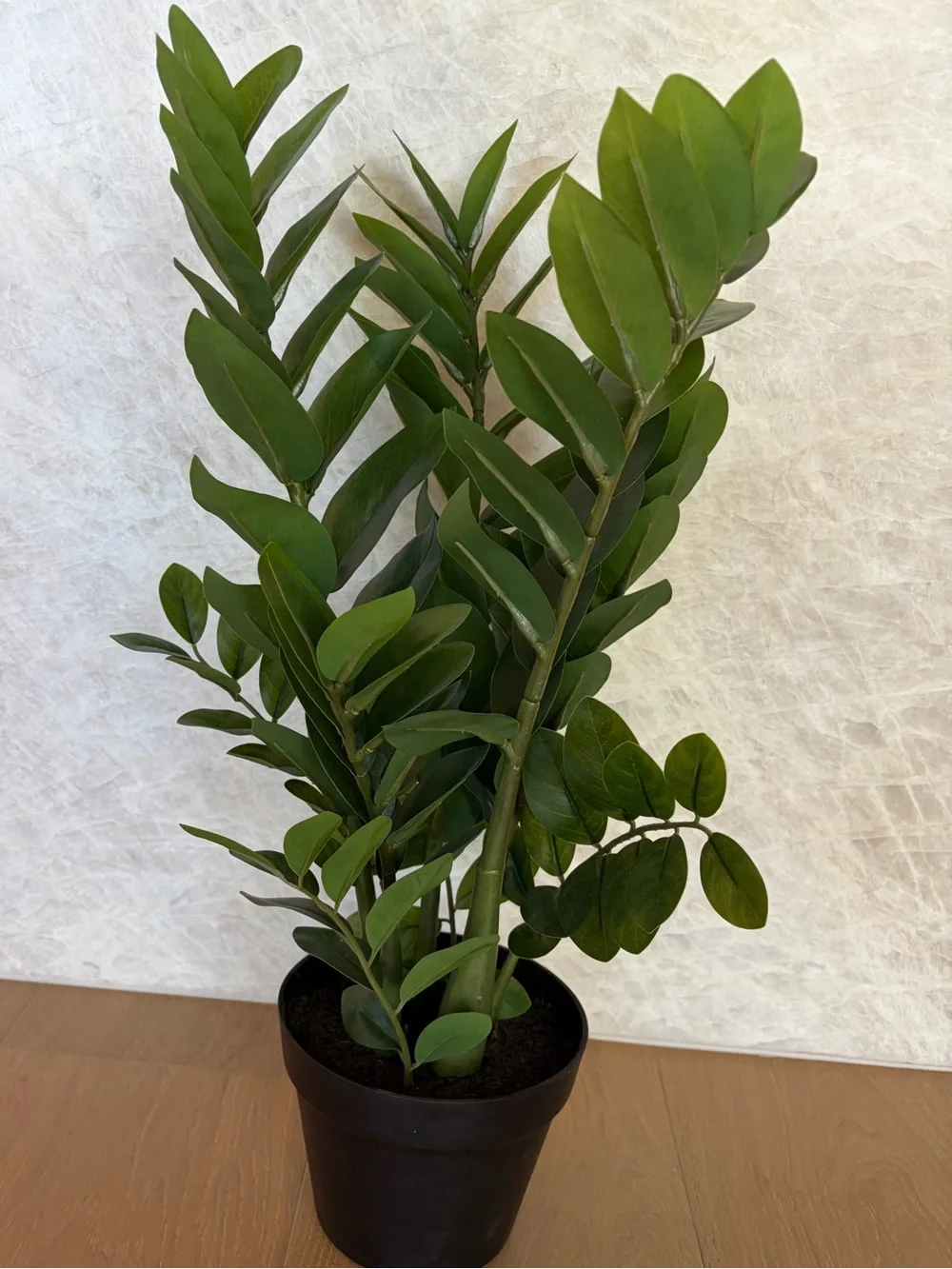 Pottery Barn Faux Potted ZZ Plant, Green, 24”H, NEW